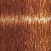 Мусс оттеночный для укладки волос светлый коричневый ореховый Color style mousse