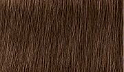 Краситель Indola xpresscolor 6.38 Темный русый золотистый шоколадный